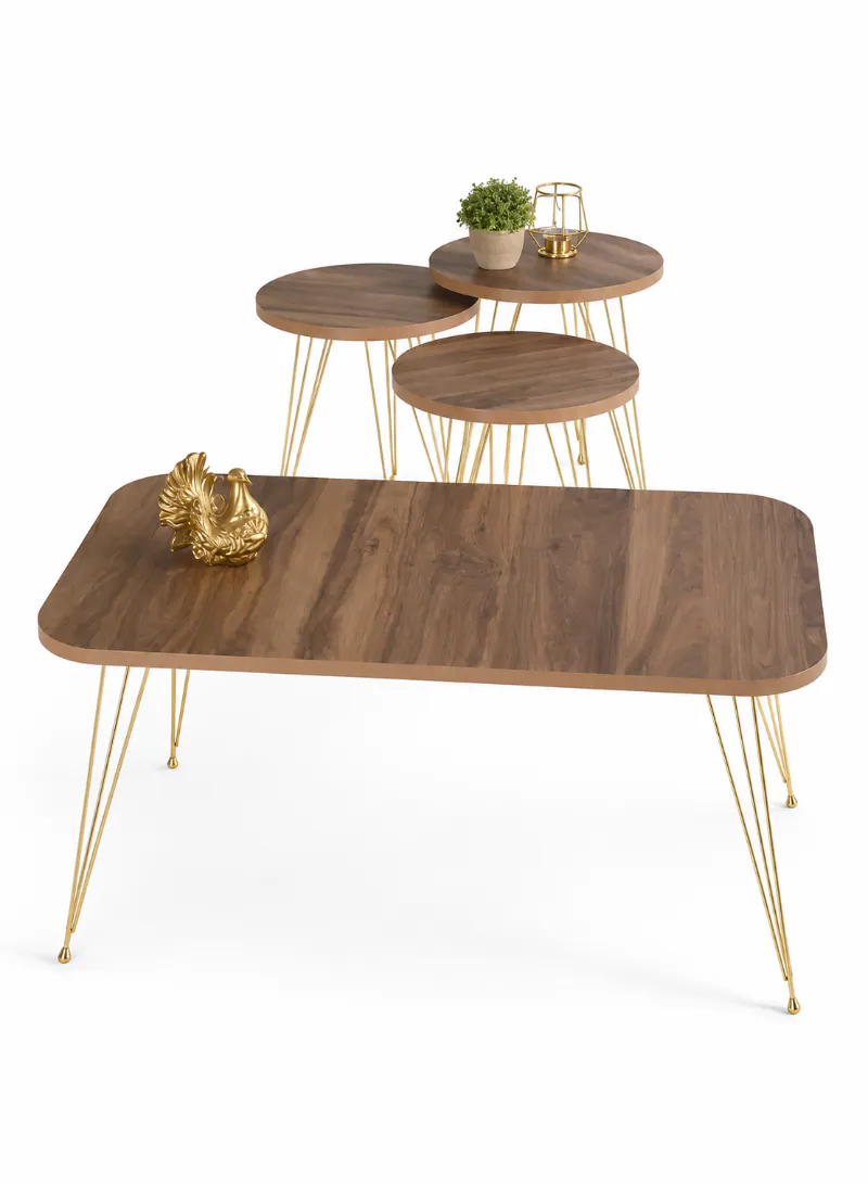 Modern Nesting Coffee Table Set - ( Brown ) 2