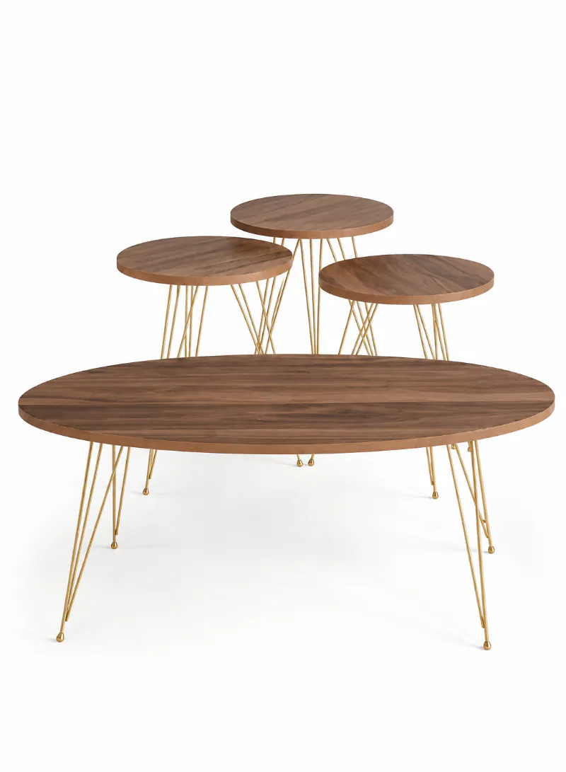 Modern Nesting Coffee Table Set - ( Brown )