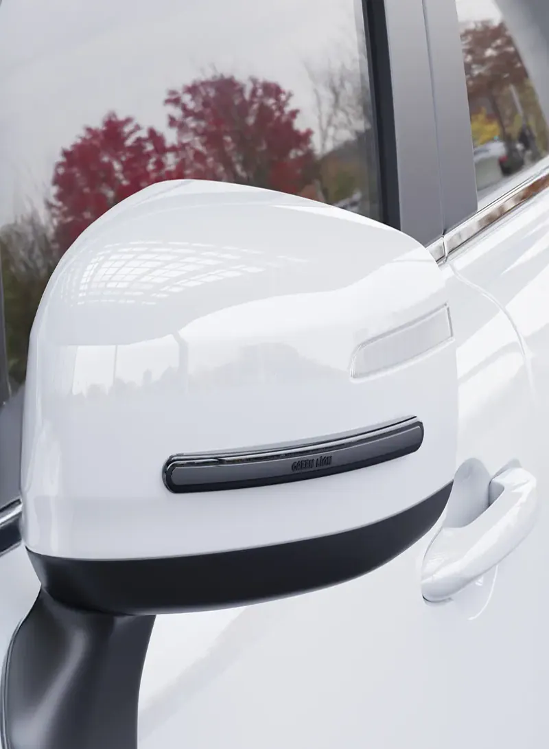 Green Lion Car Door Guard 4-Strip Pack with Scratch & Impact Protection – Black 3